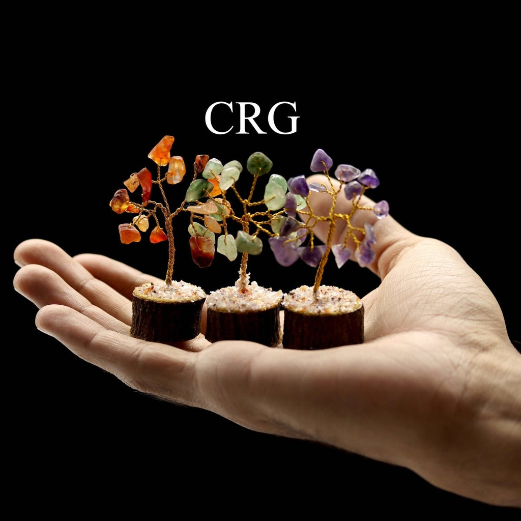 7 Stone Gemstone Chip Tree Box Set / 1-3" AVG - SET OF 12
