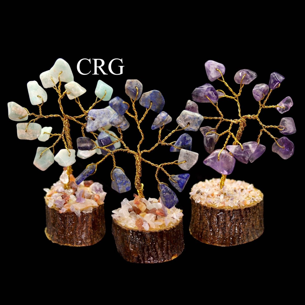 7 Stone Gemstone Chip Tree Box Set / 1-3" AVG - SET OF 12