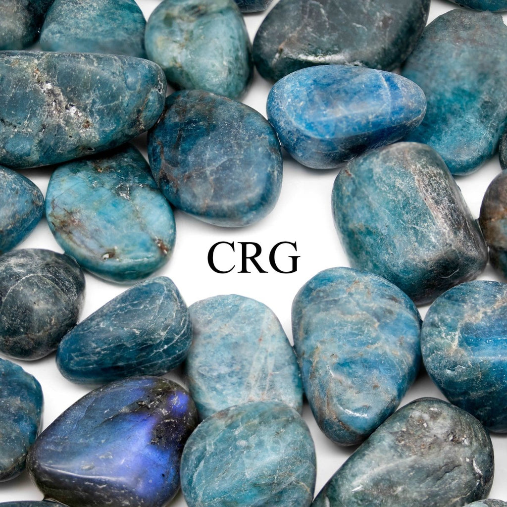 Tumbled Blue Apatite / 20-50mm AVG - 1 LB. LOT
