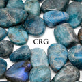 Tumbled Blue Apatite / 20-50mm AVG - 1 LB. LOT