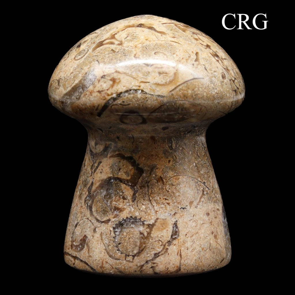Fossilized Coral and Calcite Mushrooms / 1.5-3.5" AVG - 1 KILO LOT