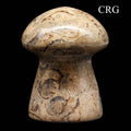 Fossilized Coral and Calcite Mushrooms / 1.5-3.5" AVG - 1 KILO LOT