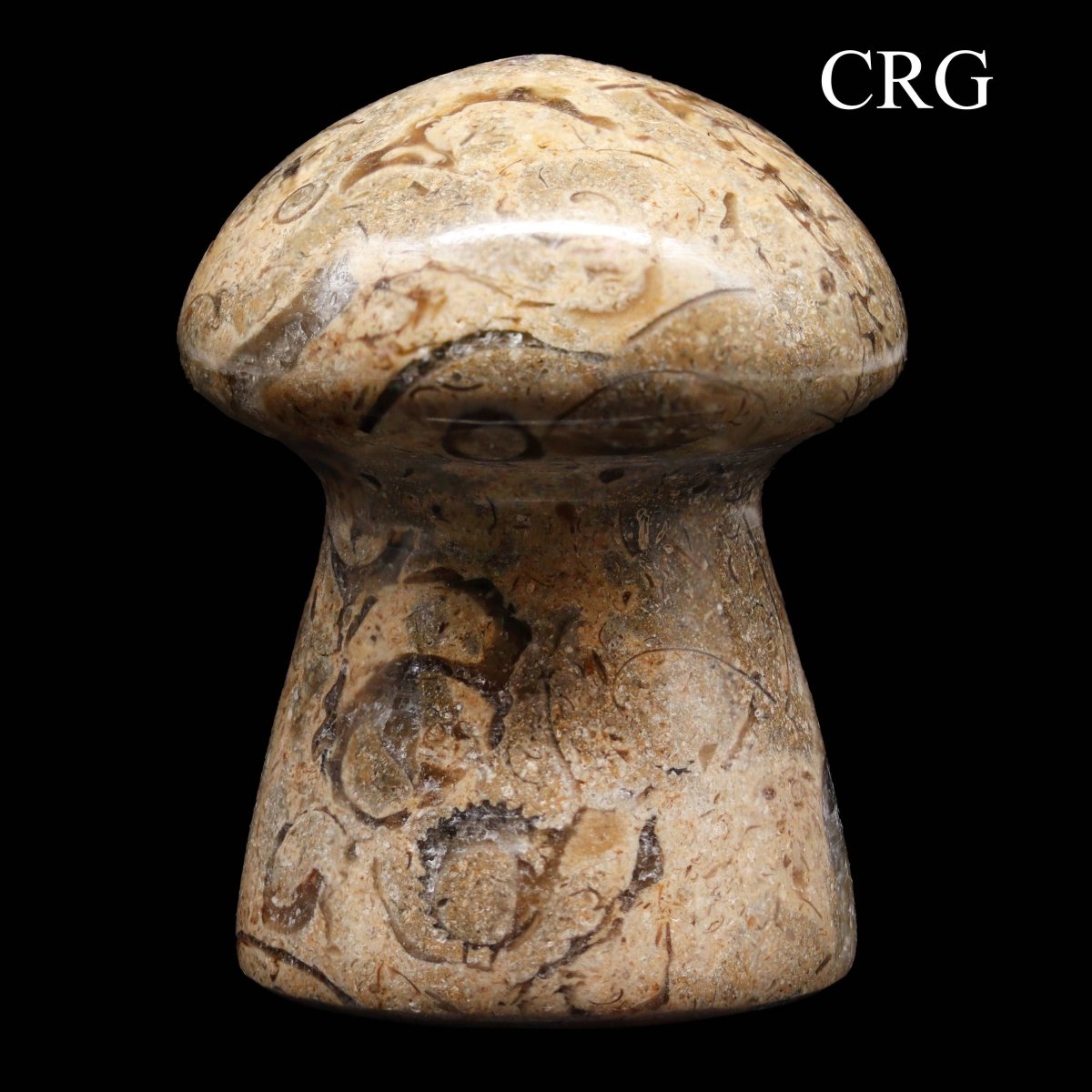Fossilized Coral and Calcite Mushrooms / 1.5-3.5" AVG - 1 KILO LOT
