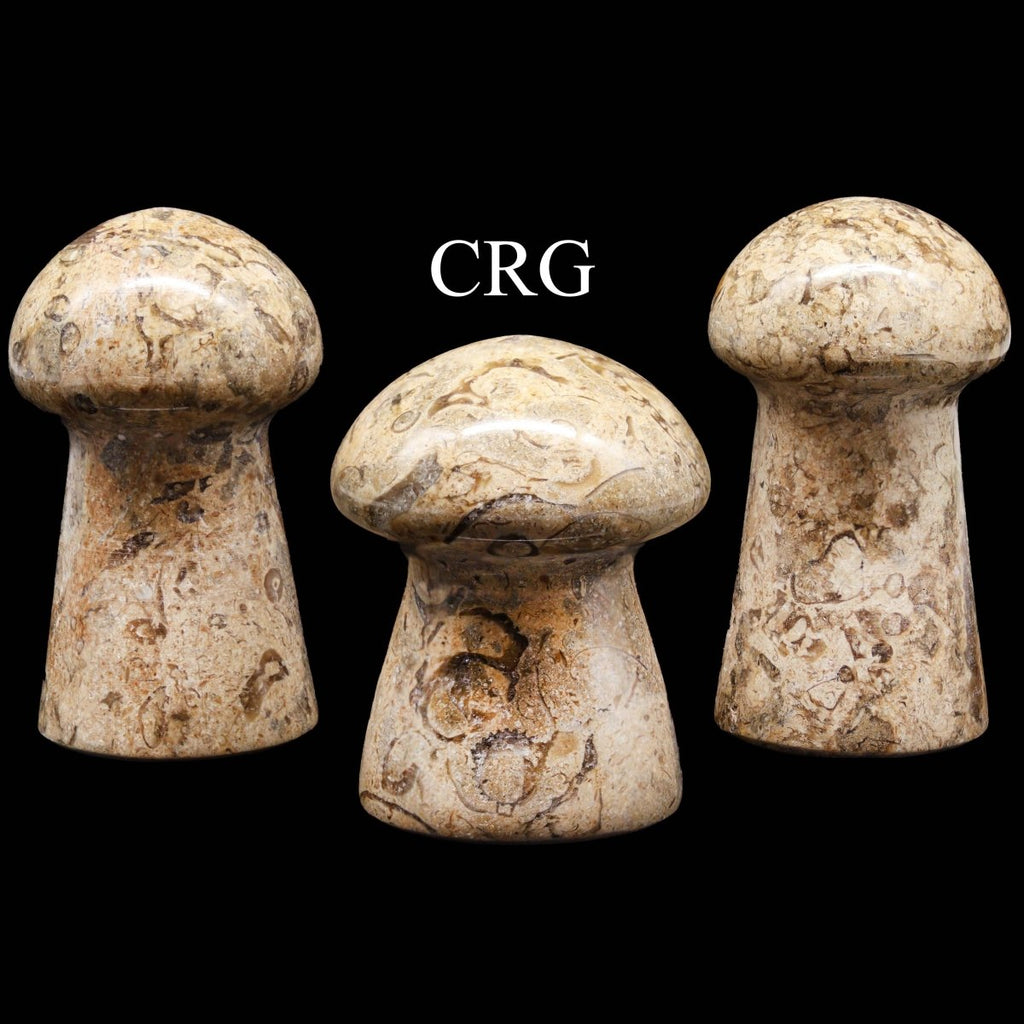 Fossilized Coral and Calcite Mushrooms / 1.5-3.5" AVG - 1 KILO LOT