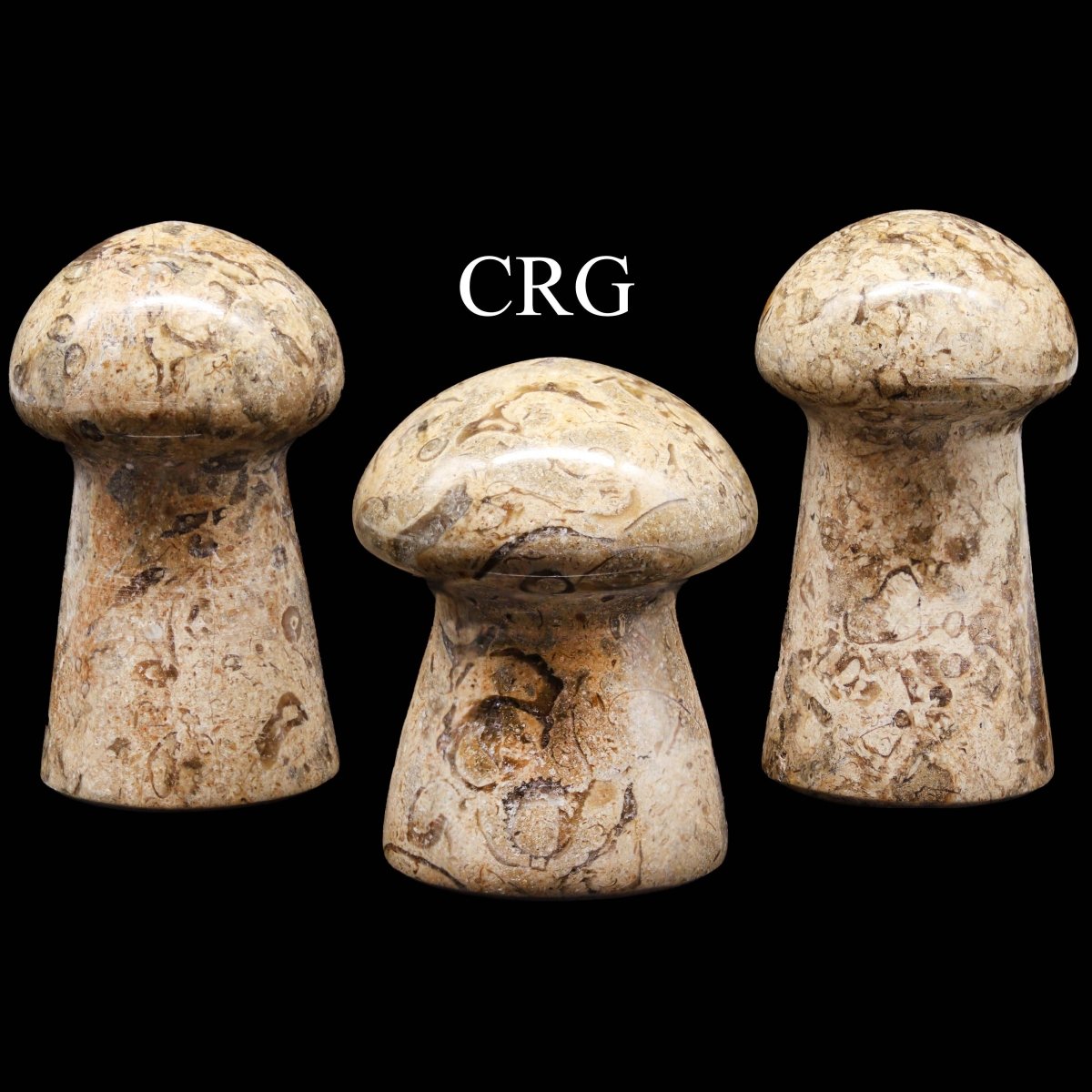 Fossilized Coral and Calcite Mushrooms / 1.5-3.5" AVG - 1 KILO LOT
