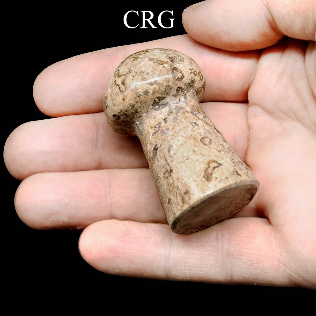 Fossilized Coral and Calcite Mushrooms / 1.5-3.5" AVG - 1 KILO LOT