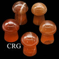 Honey Calcite Mushrooms (1 Kilo) 1.5 to 3.5 Inches