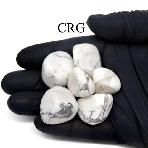 1LB. Howlite Tumbled Stones