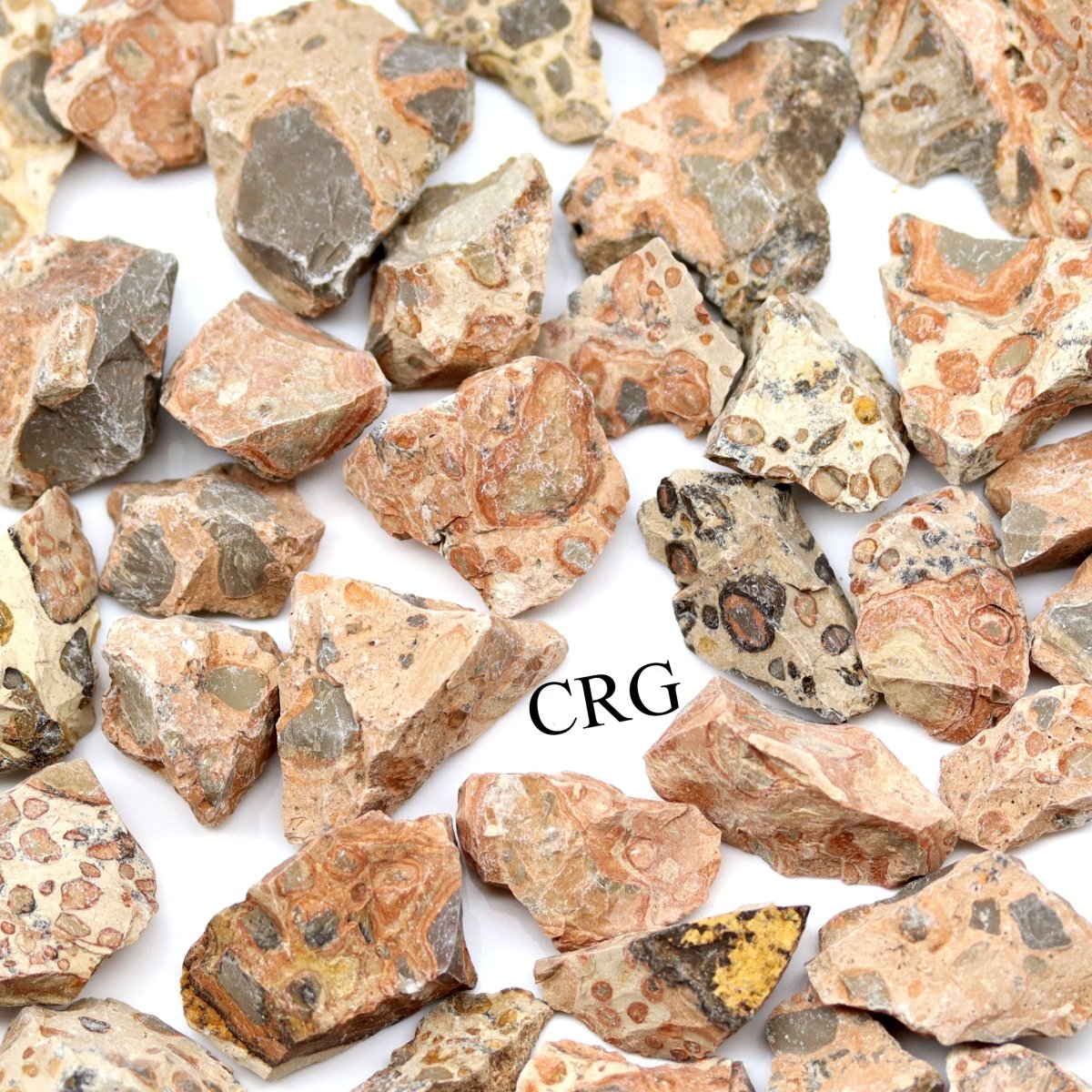 Rough Leopard Skin Jasper / 1-2" AVG - 1 KILO LOT