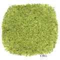 Tumbled Peridot Confetti Chips / 4-7mm AVG - 1 KILO LOT