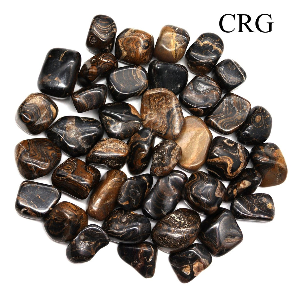 Tumbled Stromatolite / 20-35mm AVG - 1 LB. LOT