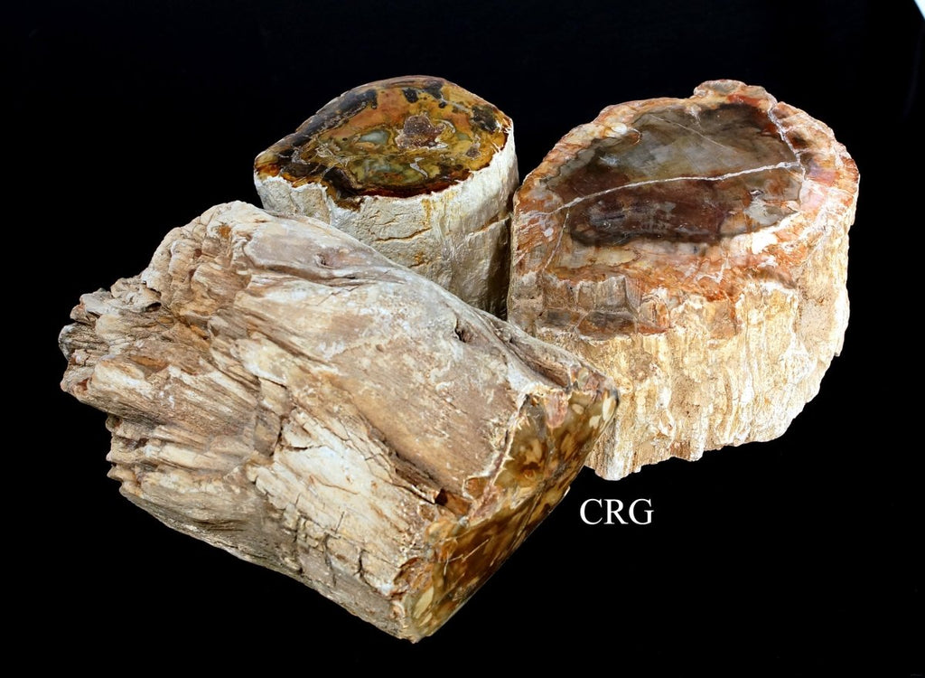 Petrified Wood Chunks - 1"-3" - 1 kg.