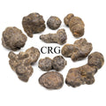 Rough Prophecy Stone 1 to 5 Inches (1 Pound)