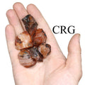 Rough Red Carnelian / 20-40mm AVG - 1 KILO LOT