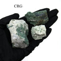 Rough Tree Agate / 25-55mm AVG - 1 KILO LOT