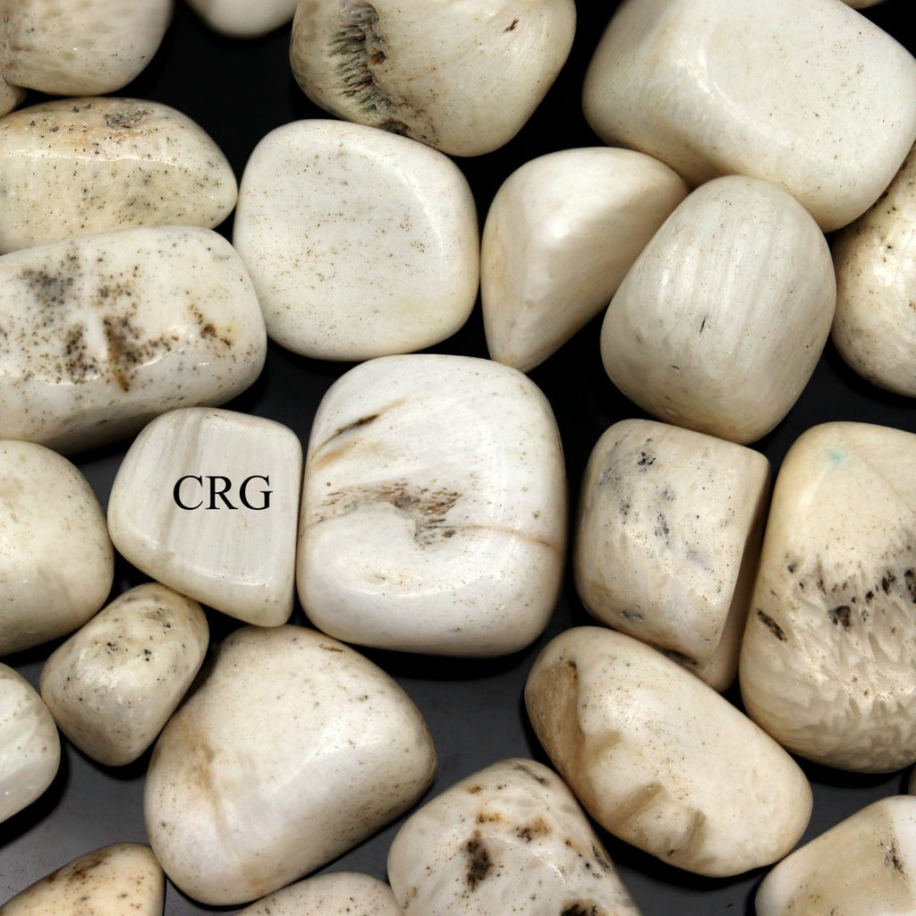 Tumbled Scolecite / 20-40mm AVG - 1 KILO LOT