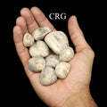Tumbled Silver Moonstone / 20-50mm AVG - 1 KILO LOT