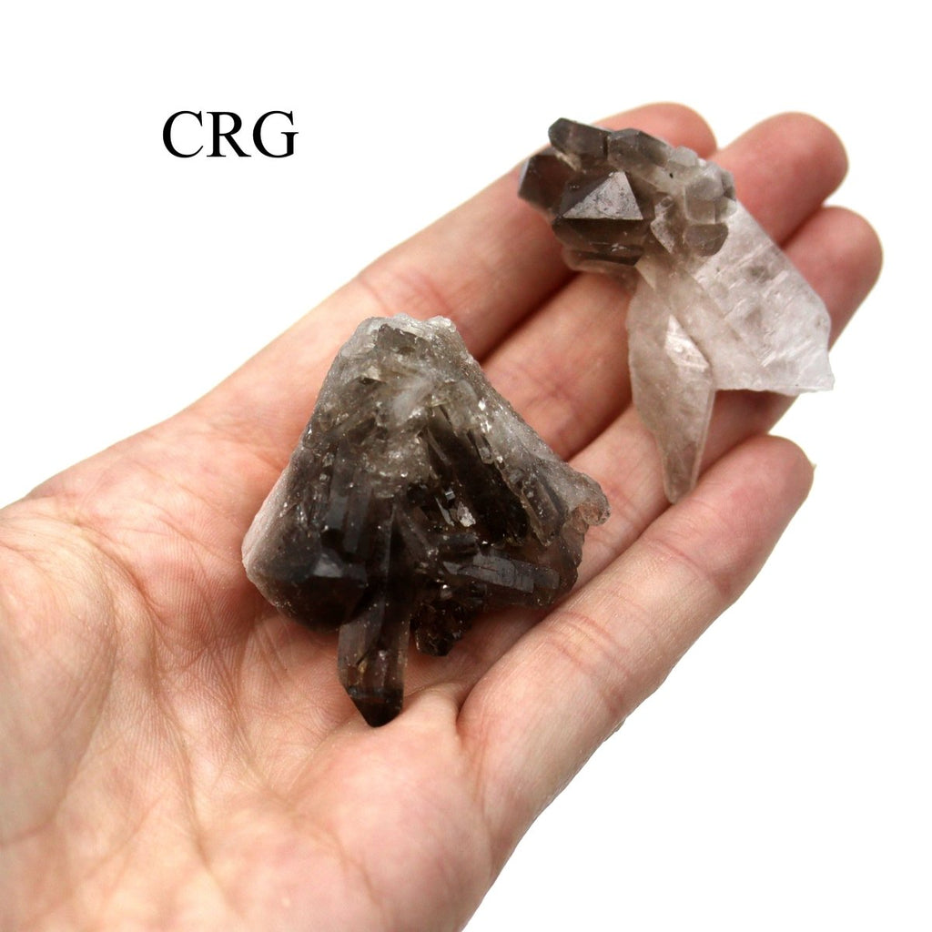 Smoky Quartz Clusters / 50-250g AVG - 1 KILO LOT