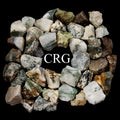 Rough Tree Agate / 25-40mm AVG - 1 KILO LOT
