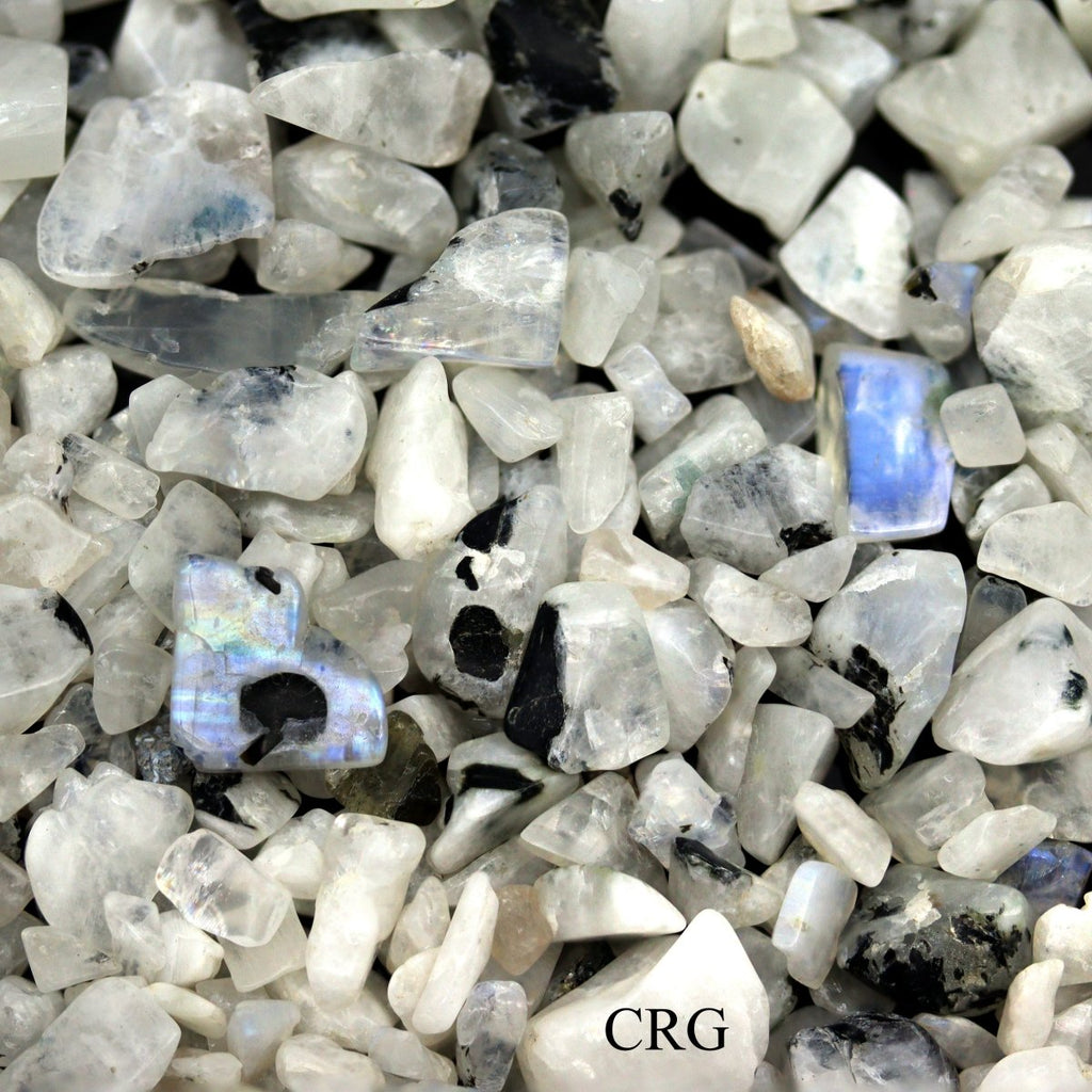 Tumbled White Rainbow Moonstone Confetti Chips / 4-7mm AVG - 1 KILO LOT