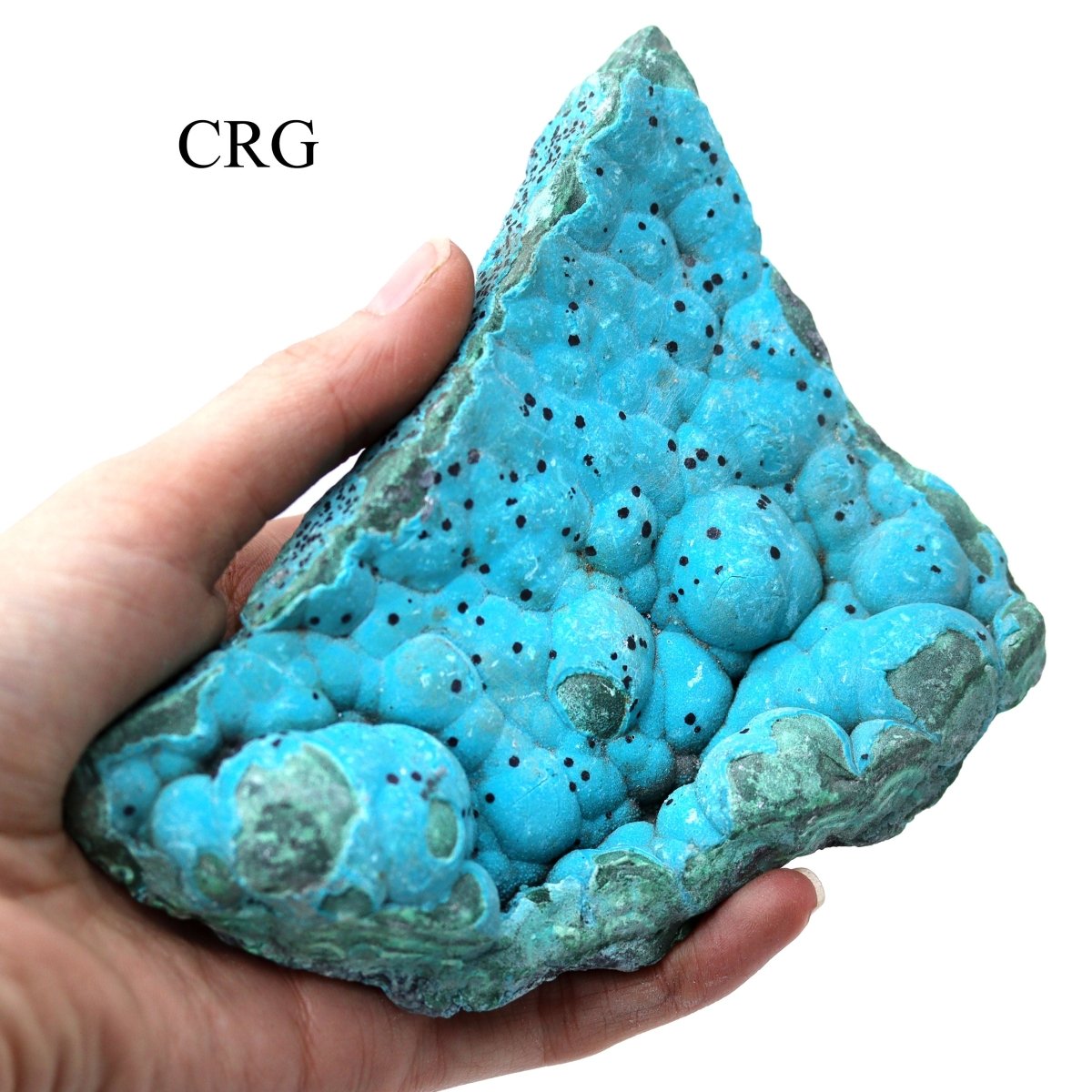 Malachite Freeforms with Chrysocolla / 2-5" AVG - 1 KILO LOT