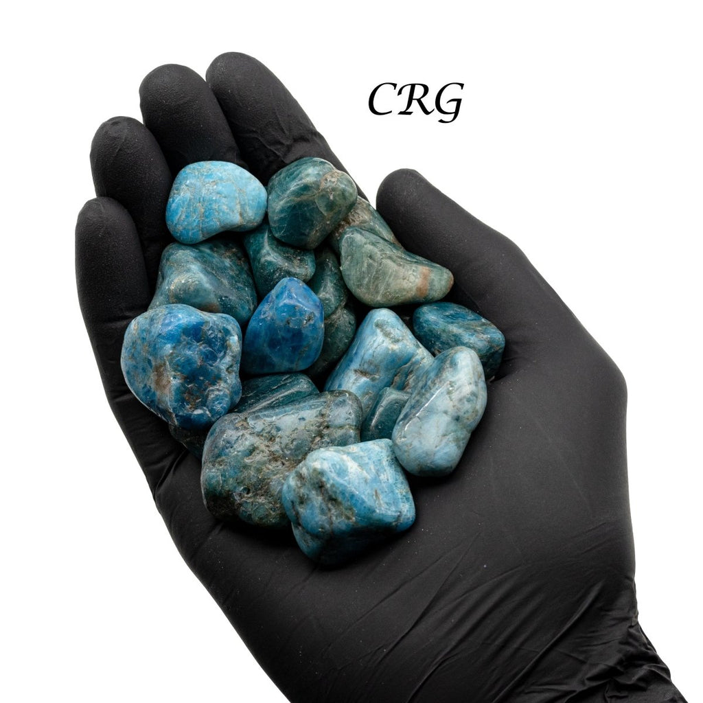 Blue Apatite Tumbled from Madagascar - 1.5"-2.5" - 1 LB LOT