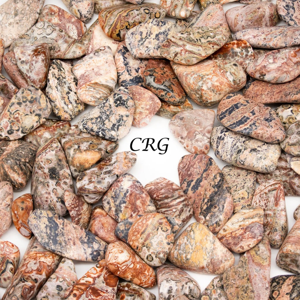 Tumbled Leopard Skin Jasper / 1-2" AVG - 1 KILO LOT