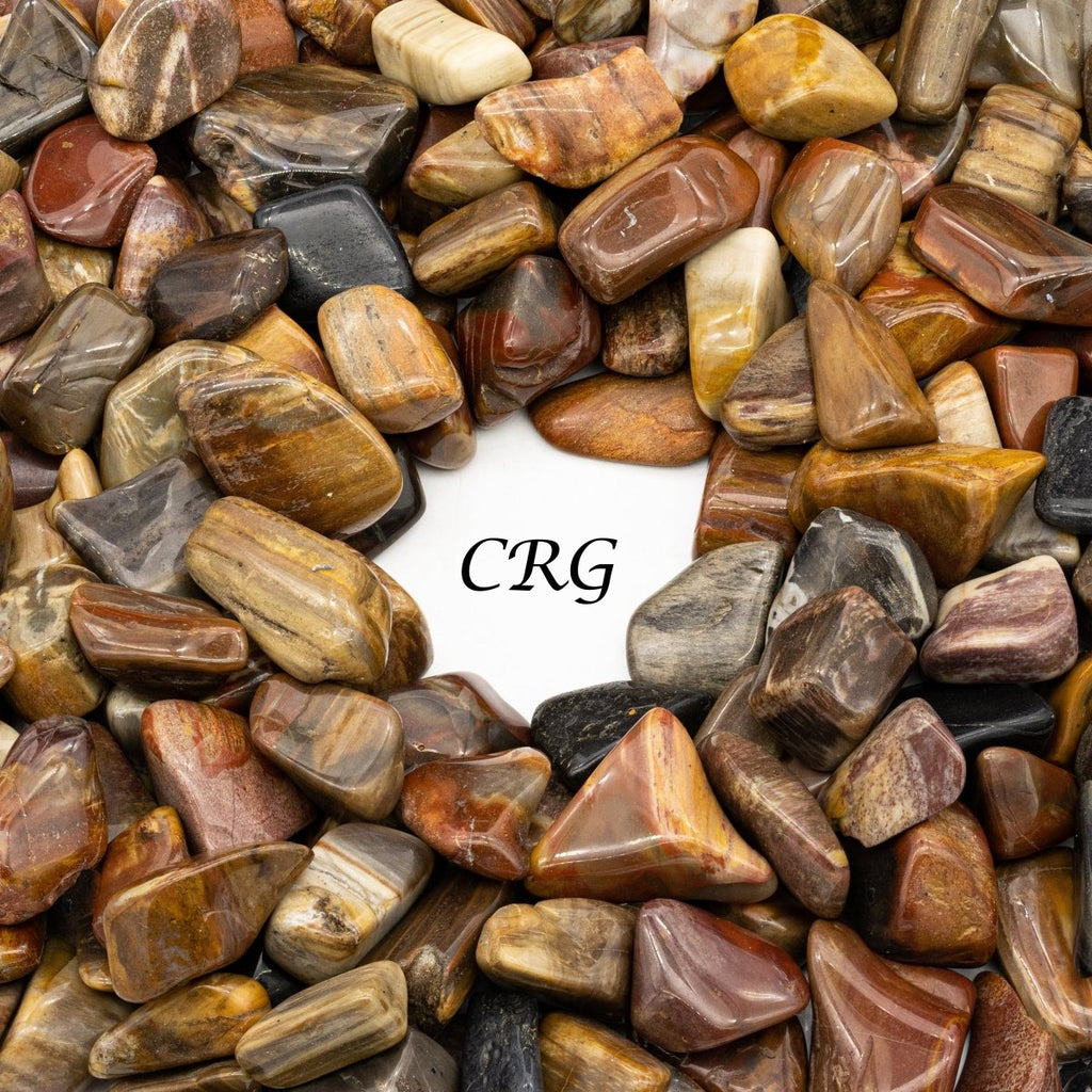 Tumbled Petrified Wood / 1-2" AVG - 1 LB. LOT