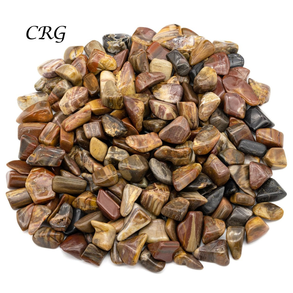 Tumbled Petrified Wood / 1-2" AVG - 1 LB. LOT