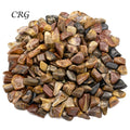 Tumbled Petrified Wood / 1-2" AVG - 1 LB. LOT