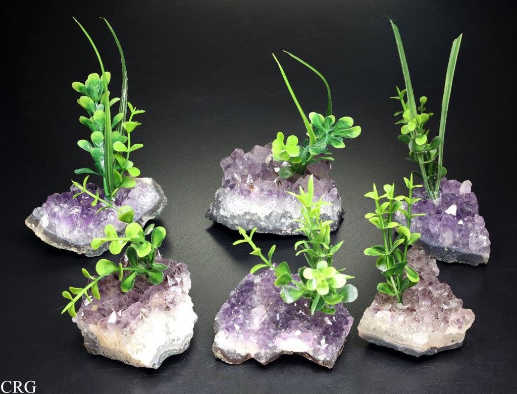 Amethyst Druzy With Faux Plant / 2-6" AVG - QTY 1
