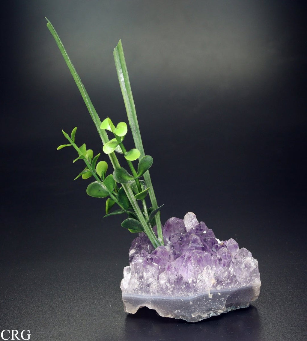 Amethyst Druzy With Faux Plant / 2-6" AVG - QTY 1