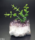 Amethyst Druzy With Faux Plant / 2-6" AVG - QTY 1