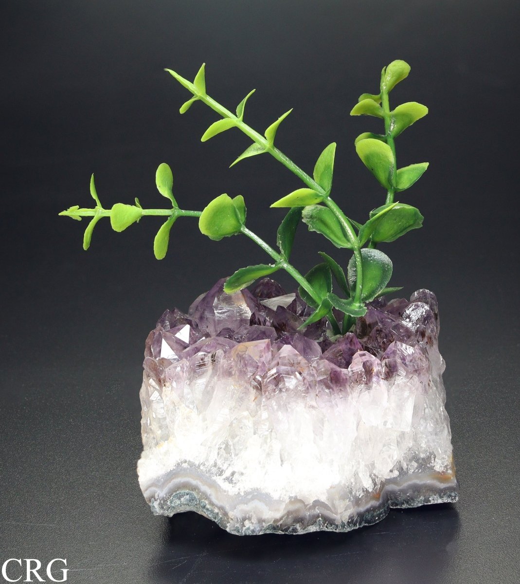Amethyst Druzy With Faux Plant / 2-6" AVG - QTY 1