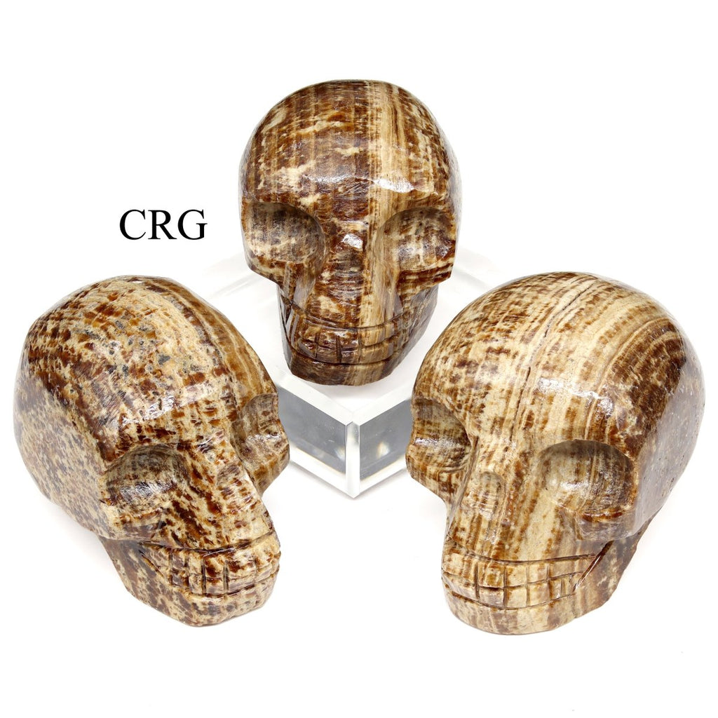 Carved Aragonite Skull / 45-55mm AVG - QTY 1