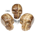 Carved Aragonite Skull / 45-55mm AVG - QTY 1