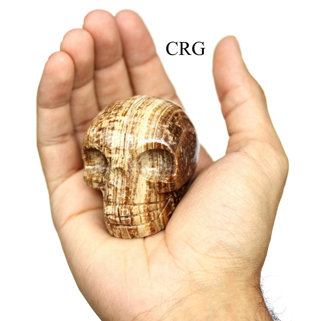 Carved Aragonite Skull / 45-55mm AVG - QTY 1