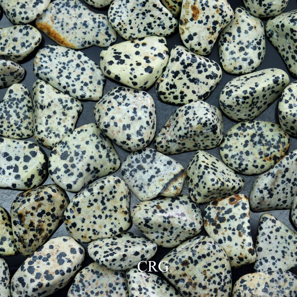 Tumbled Dalmatian Jasper / 30-60mm AVG - 1 PIECE