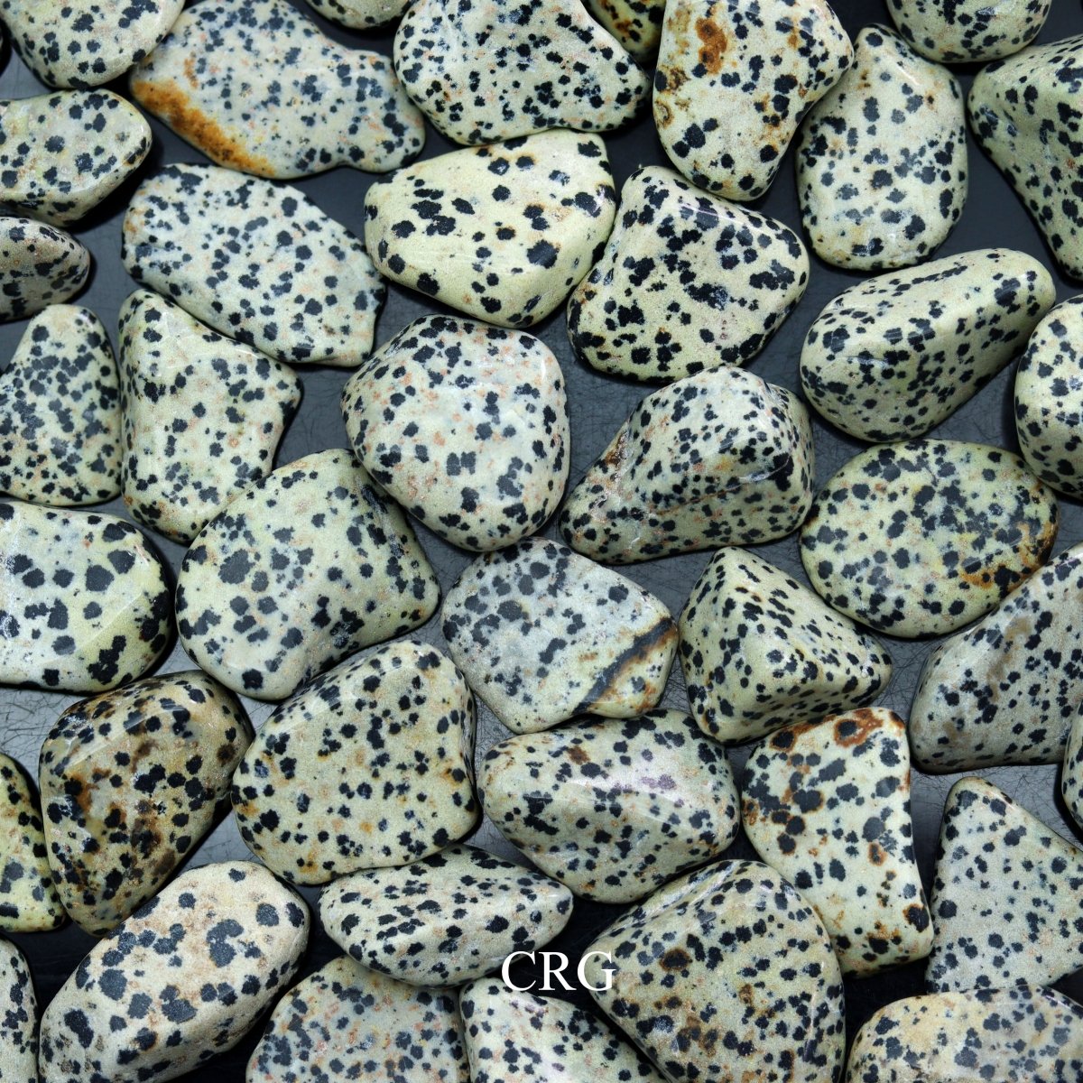 Tumbled Dalmatian Jasper / 30-60mm AVG - 1 PIECE