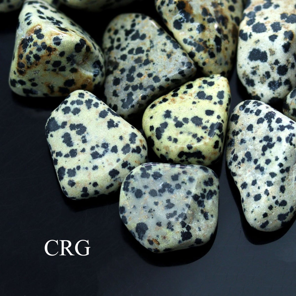 Tumbled Dalmatian Jasper / 30-60mm AVG - 1 PIECE