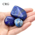 Tumbled Extra Quality Lapis Lazuli / 1-2" AVG - 1 PIECE