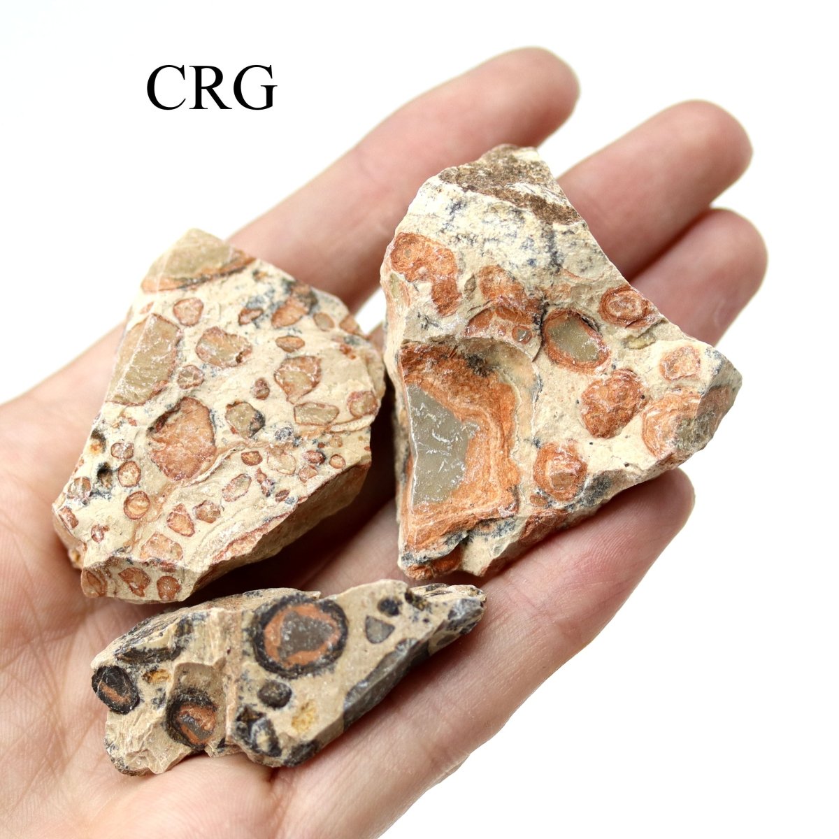 Rough Leopard Skin Jasper / 1-2" AVG - 1 PIECE