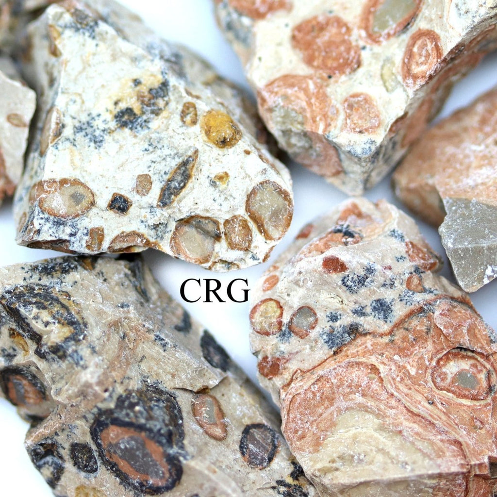 Rough Leopard Skin Jasper / 1-2" AVG - 1 PIECE