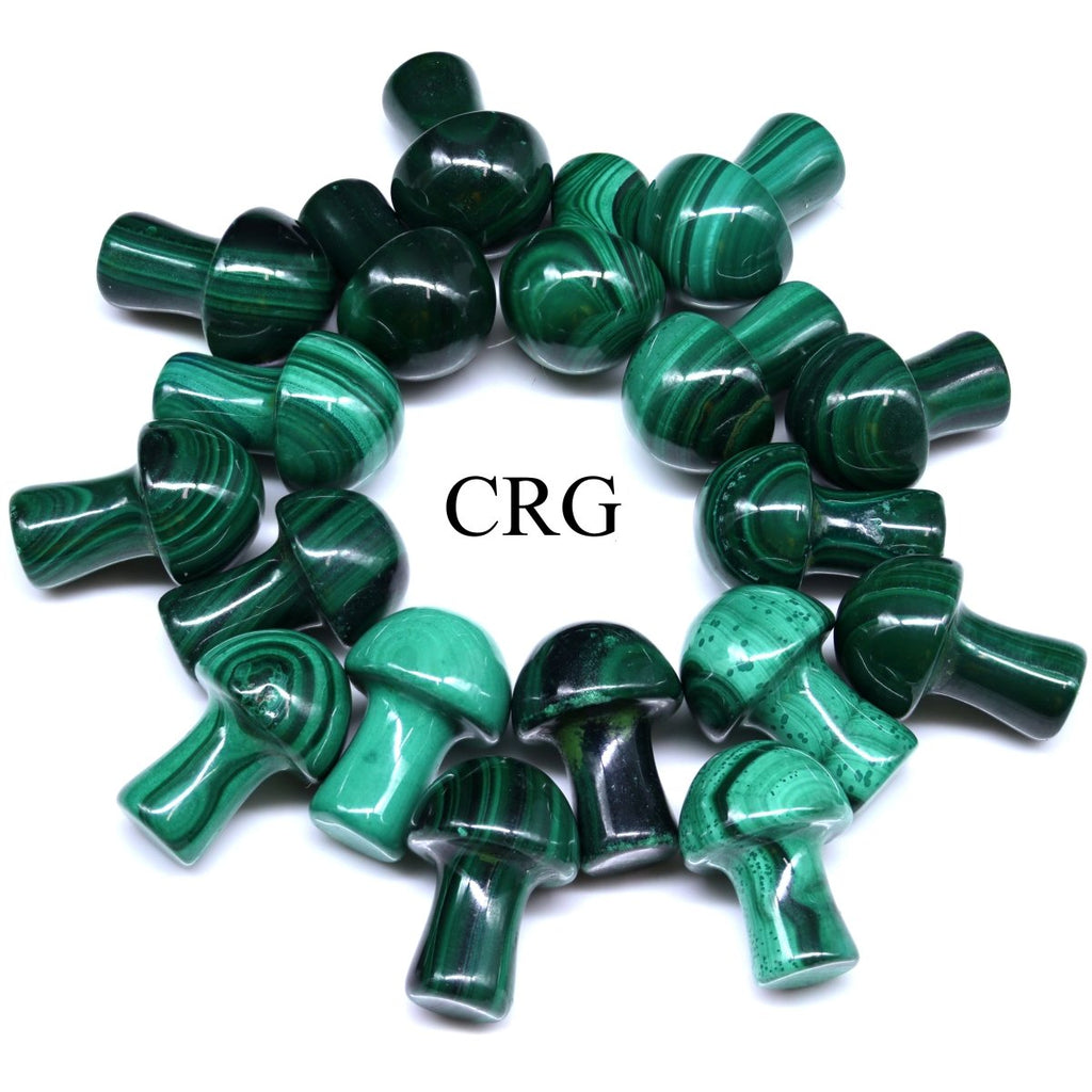 Mini Malachite Mushroom / 12-20mm AVG - QTY 1