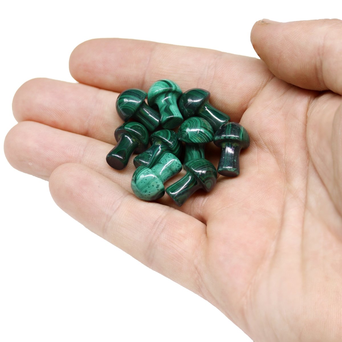 Mini Malachite Mushroom / 12-20mm AVG - QTY 1