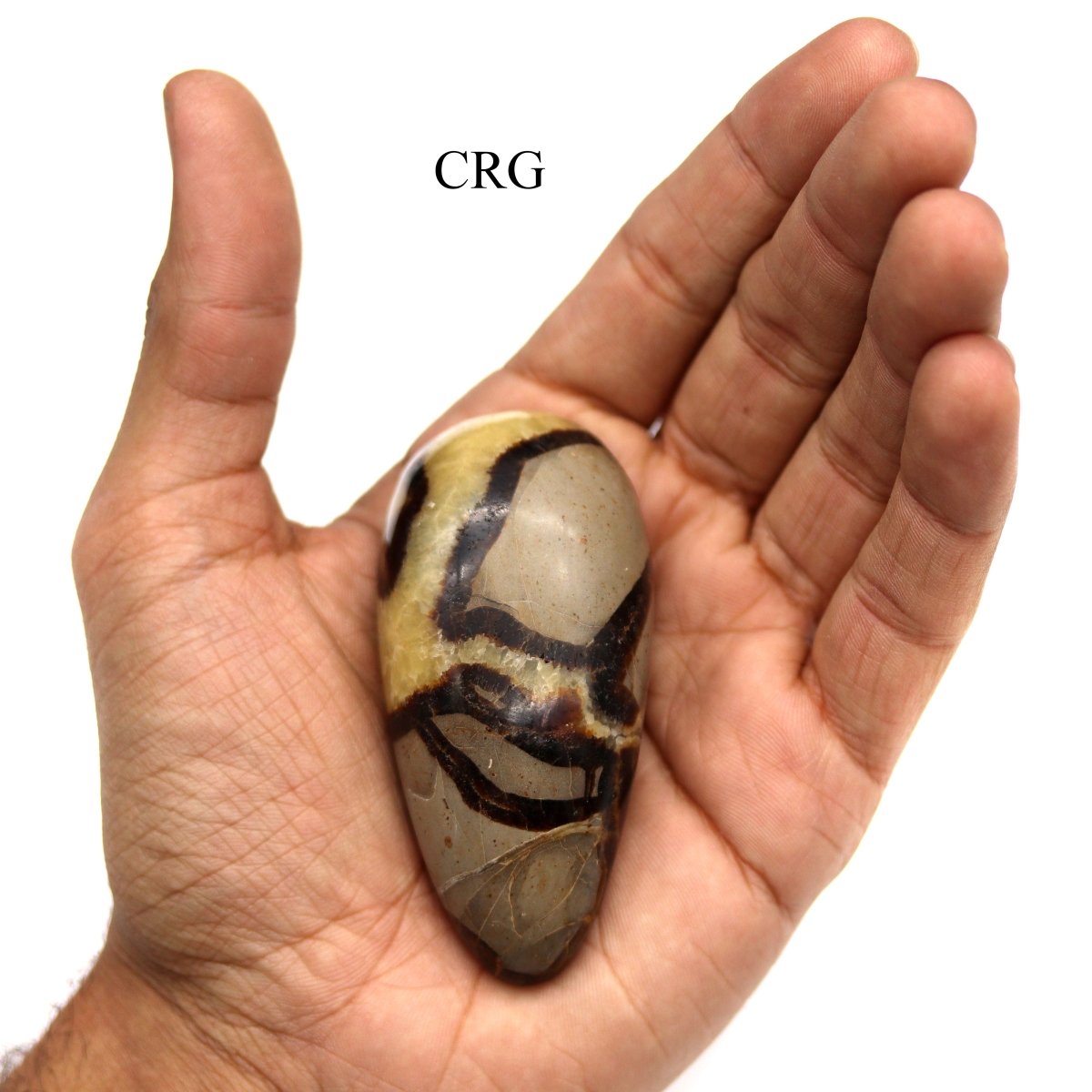 Septarian Calcite Massage Stone / 2.5-3.5" AVG - 1 PIECE