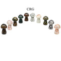 Assorted Gemstone Mushrooms - 1"-2" - 10 PIECE LOT
