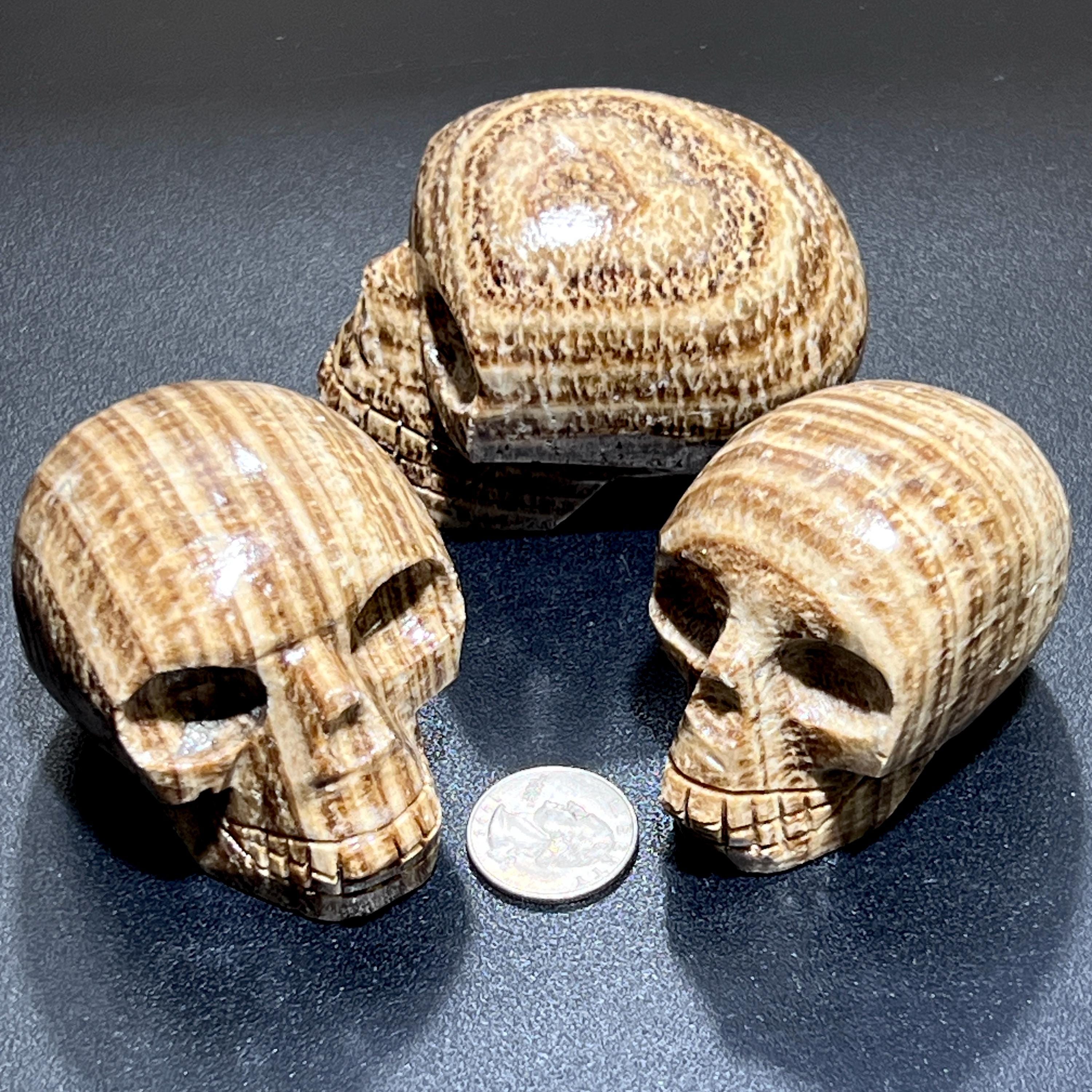 Peruvian Brown Banded Aragonite Skull Carving