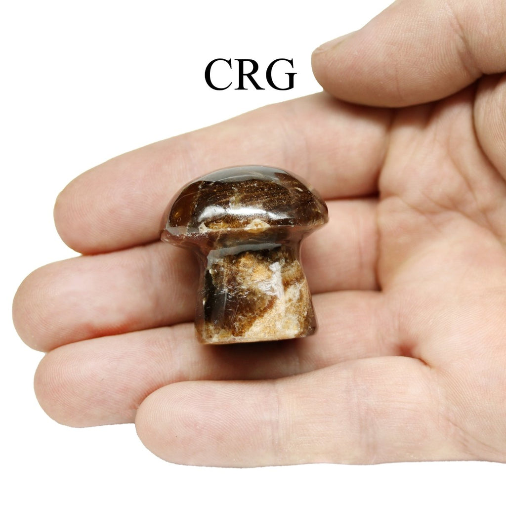 2 KILO LOT - Chocolate Calcite Mushroom / MIXED SIZES