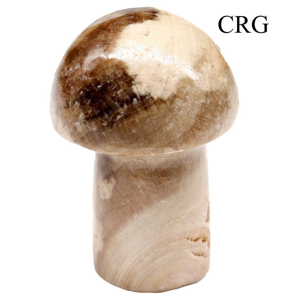 2 KILO LOT - Chocolate Calcite Mushroom / MIXED SIZES